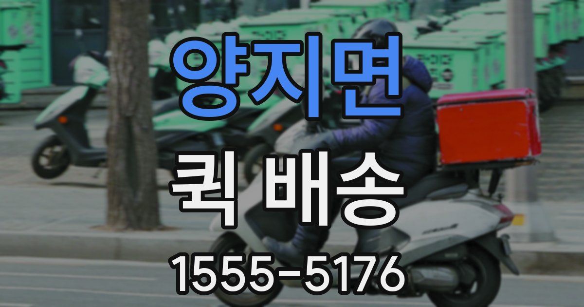 양지면 퀵 배송