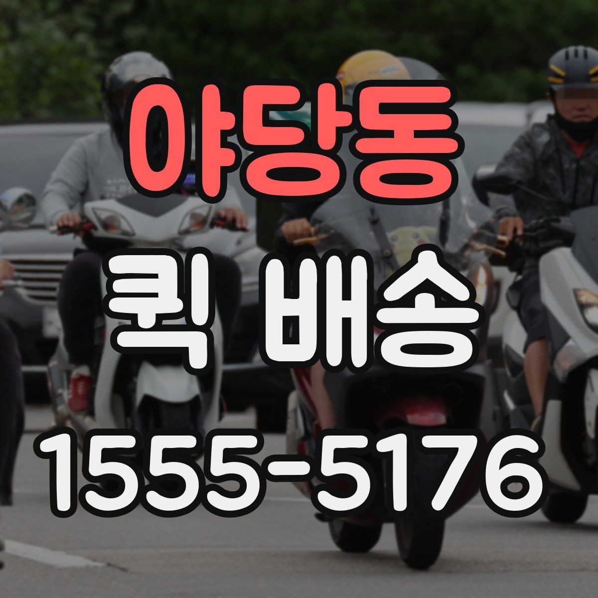 야당동 퀵 배송 접수 후 진행 상황 확인하기