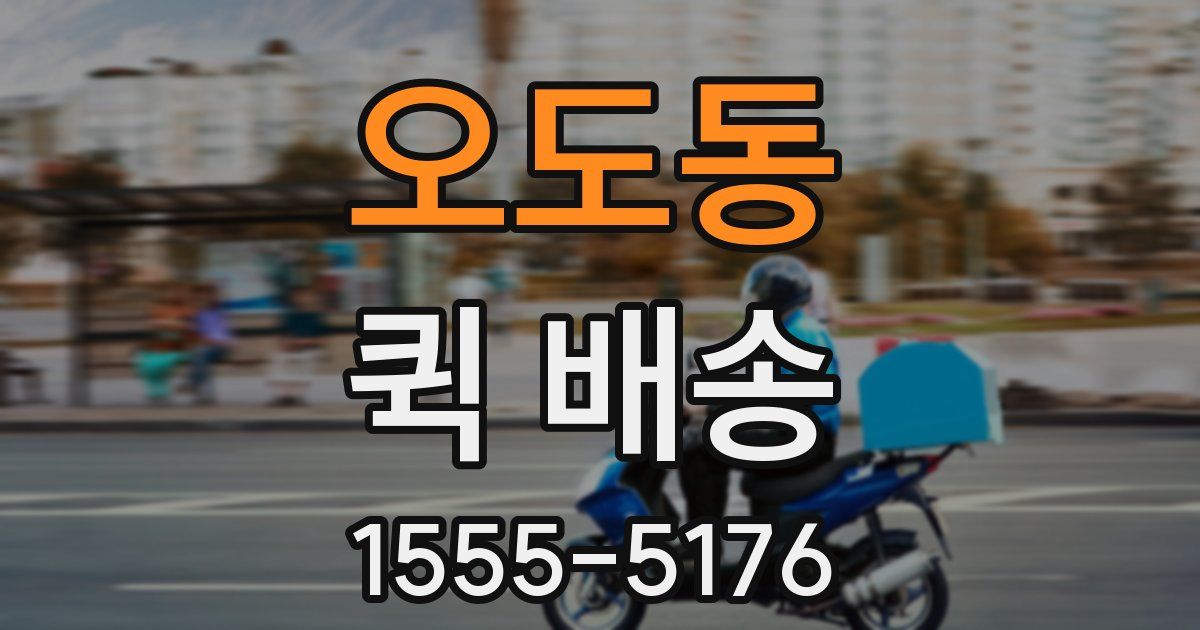 오도동 퀵 배송