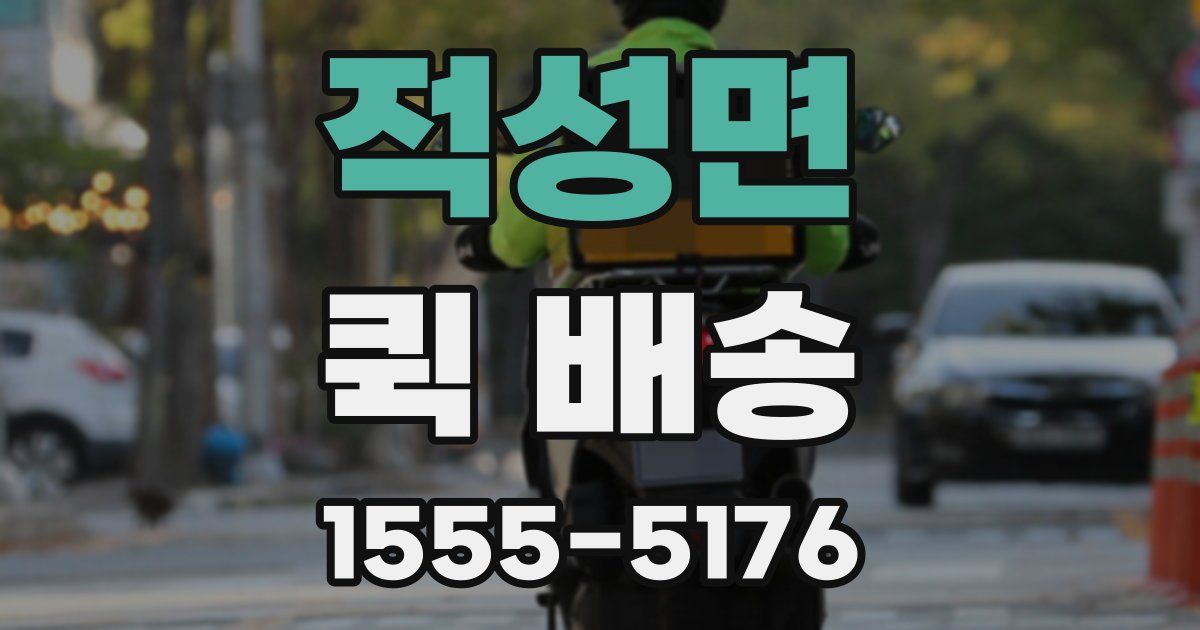 적성면 퀵 배송