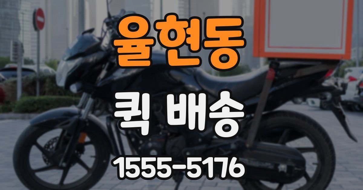 율현동 퀵 배송