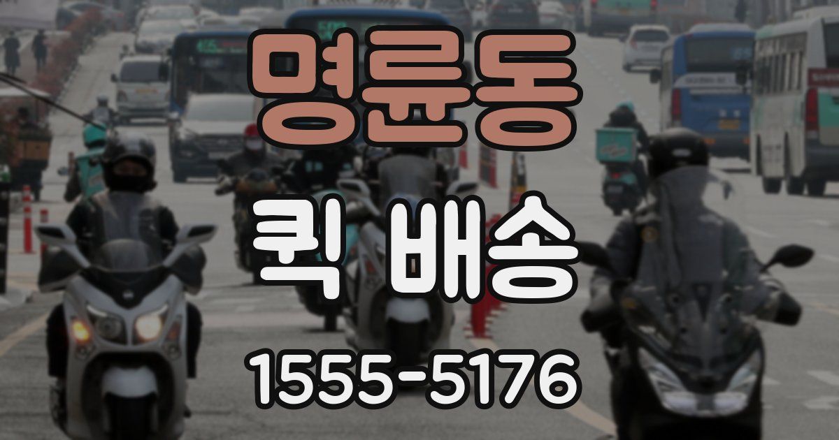명륜동 퀵 배송