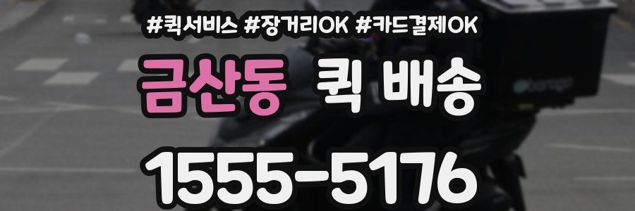 금산동 퀵 배송