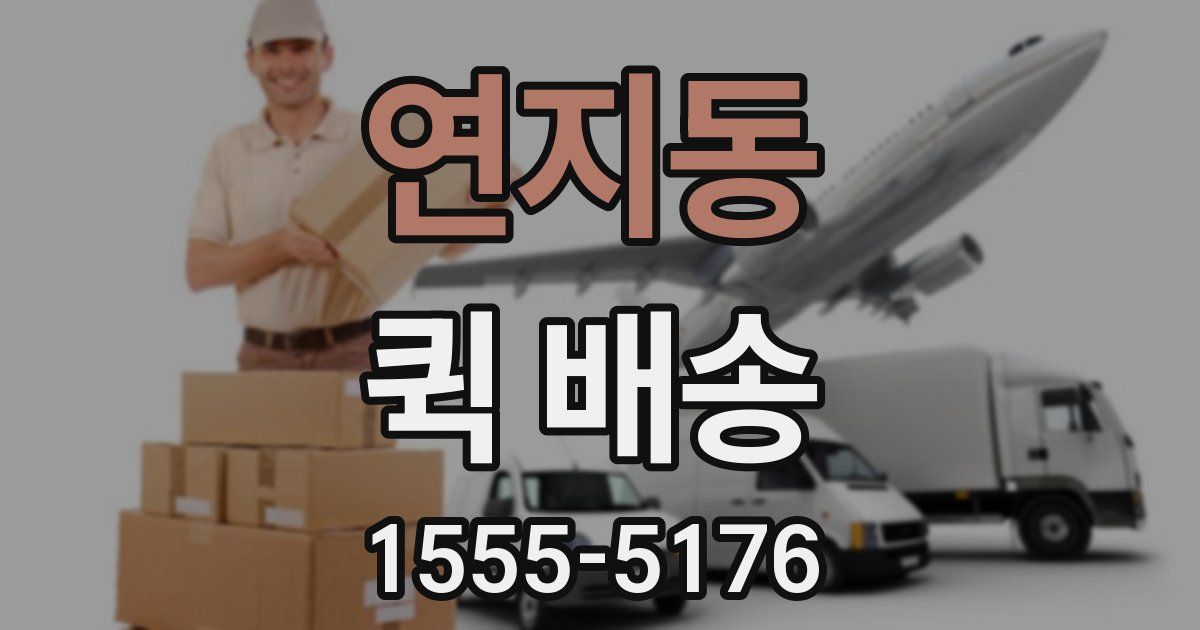 연지동 퀵 배송