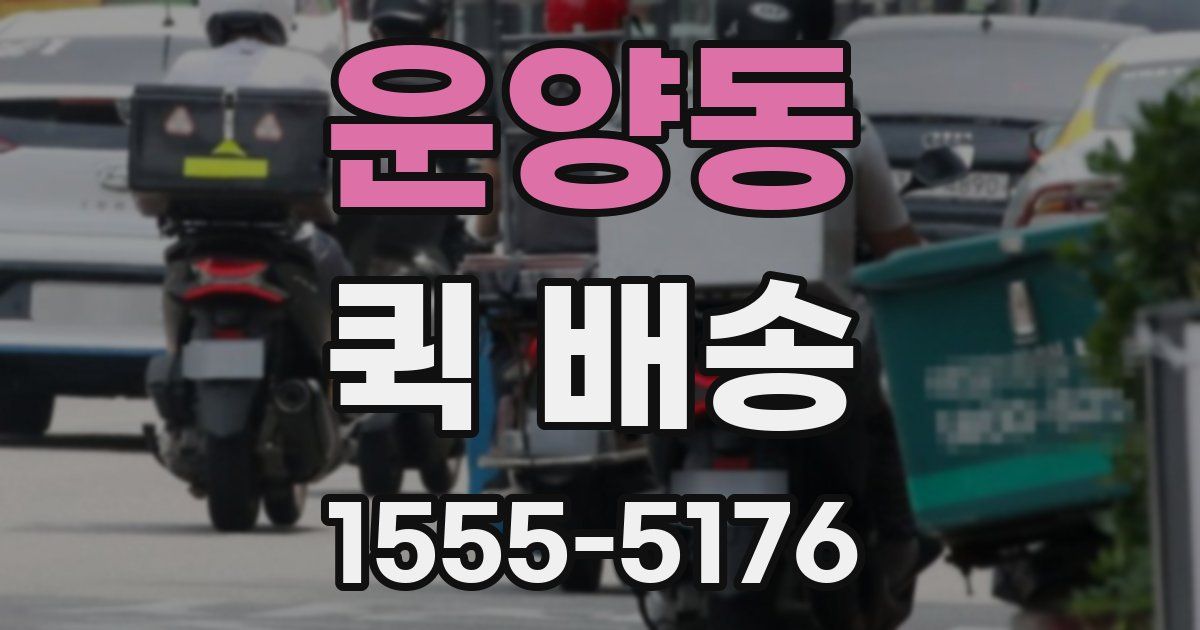 운양동 퀵 배송
