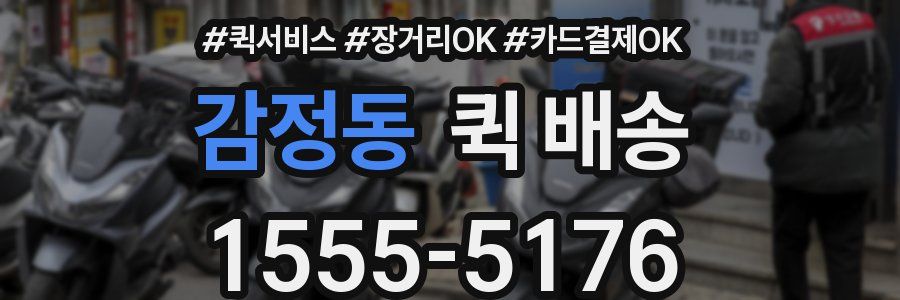 감정동 퀵 배송