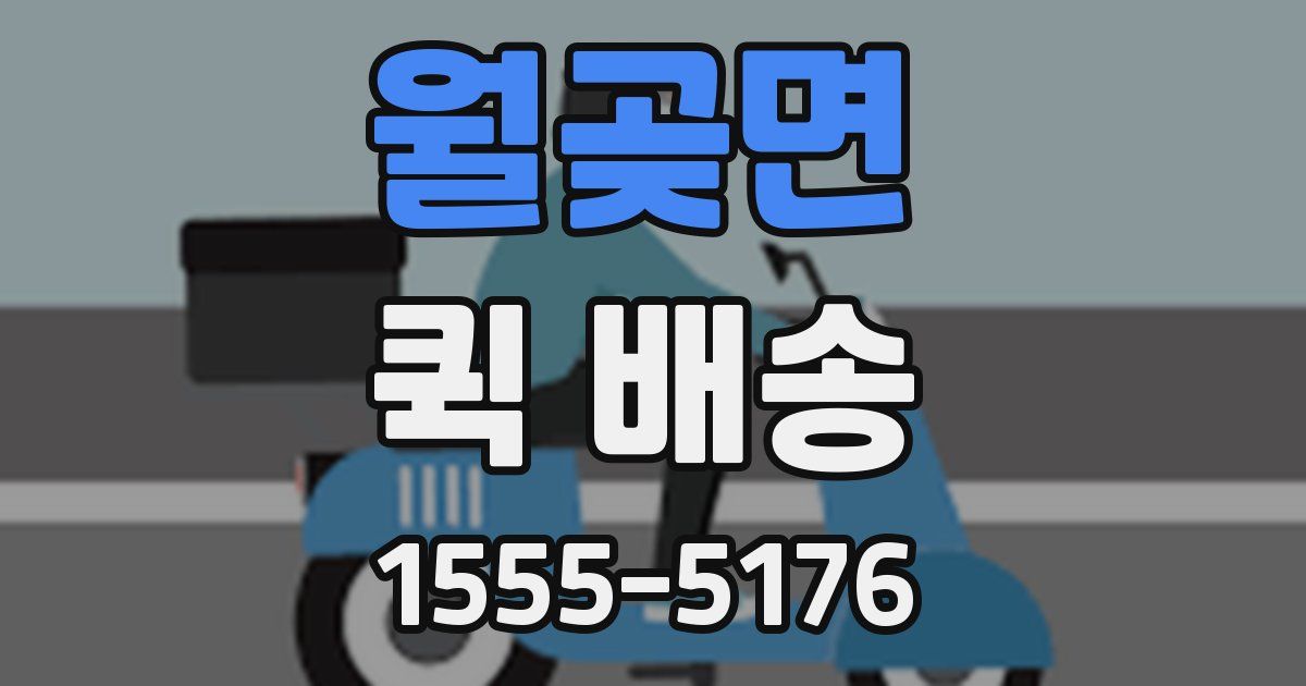 월곶면 퀵 배송