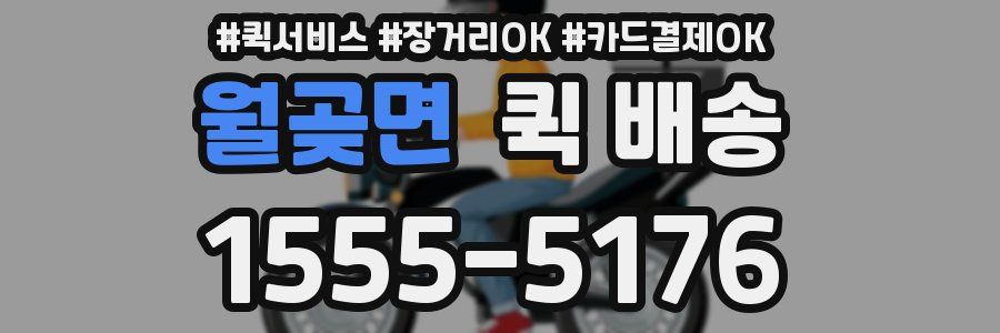 월곶면 퀵 배송
