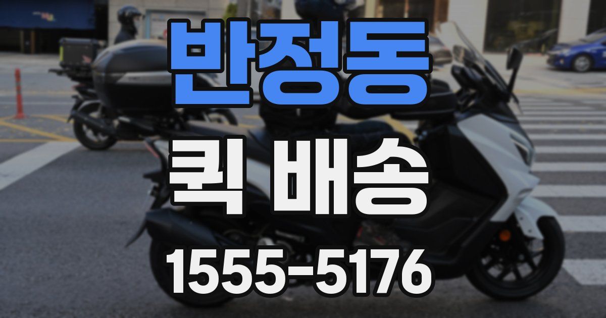 반정동 퀵 배송