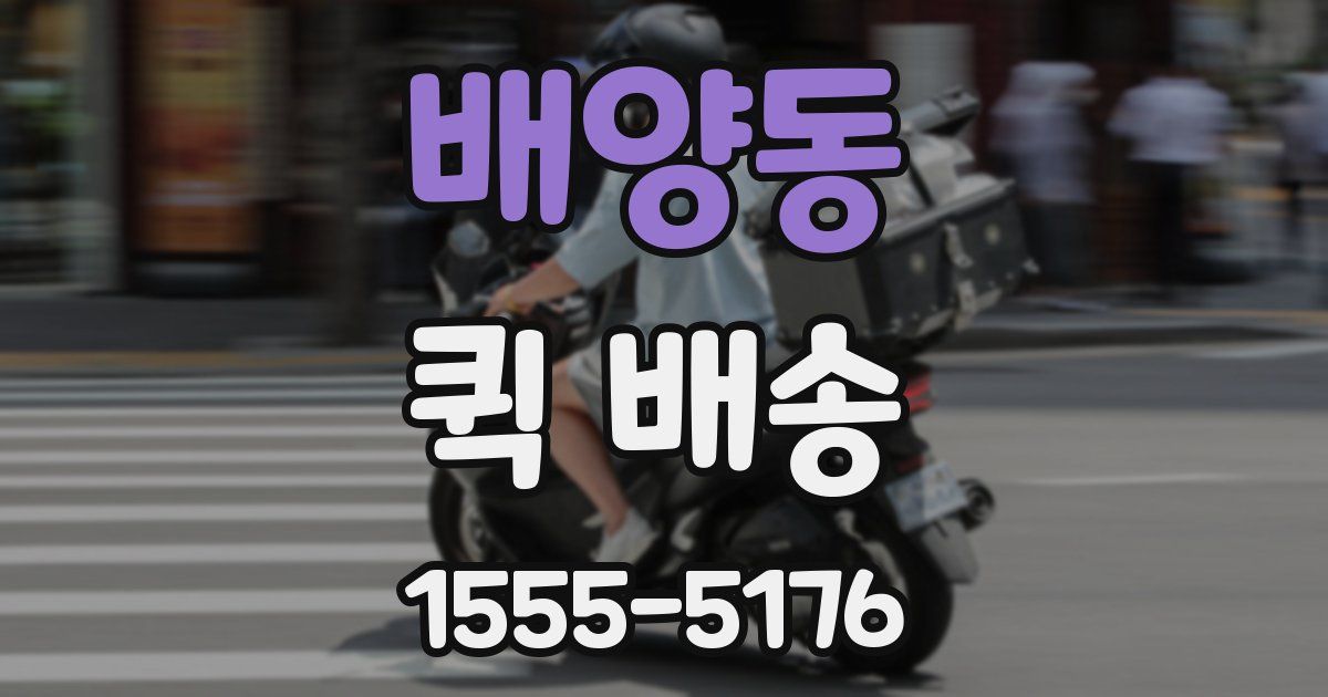 배양동 퀵 배송