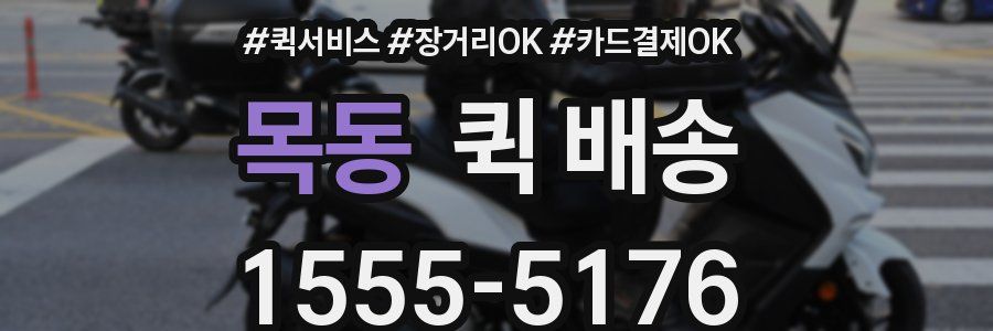 목동 퀵 배송