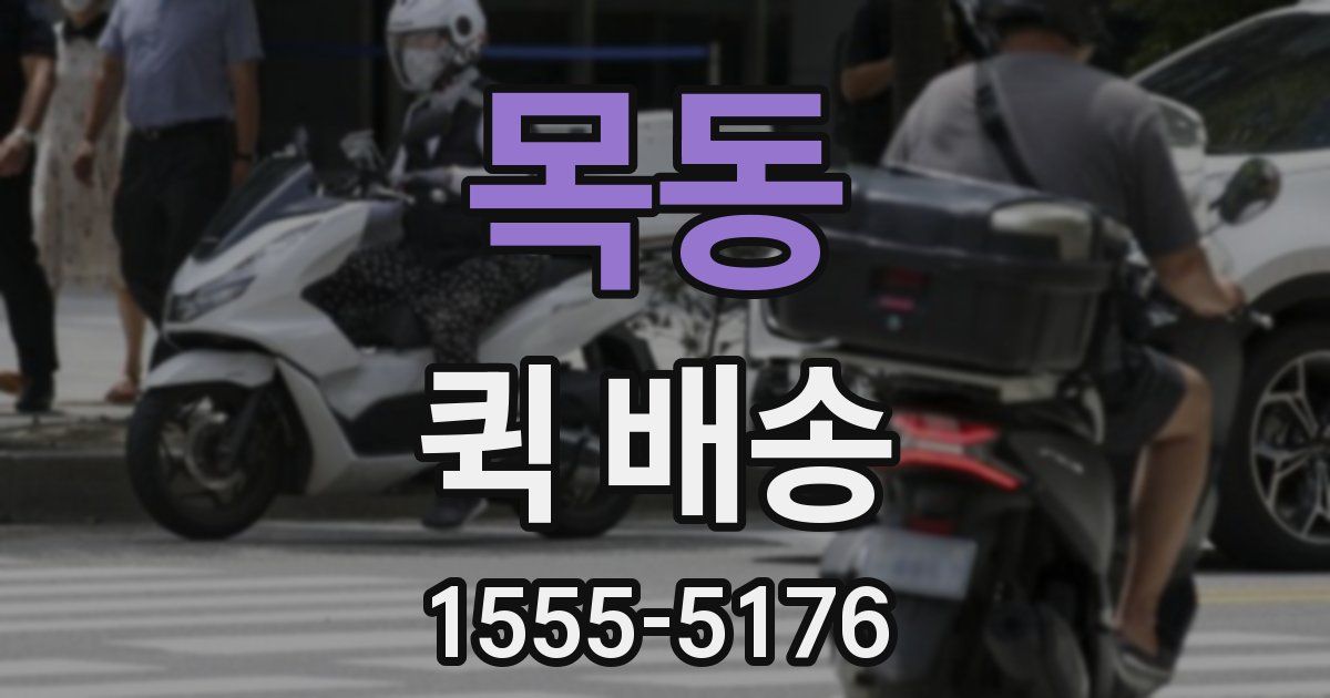 목동 퀵 배송