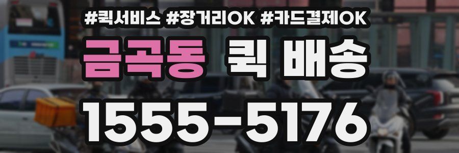 금곡동 퀵 배송