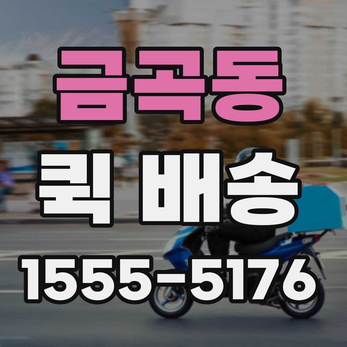 금곡동 퀵 배송