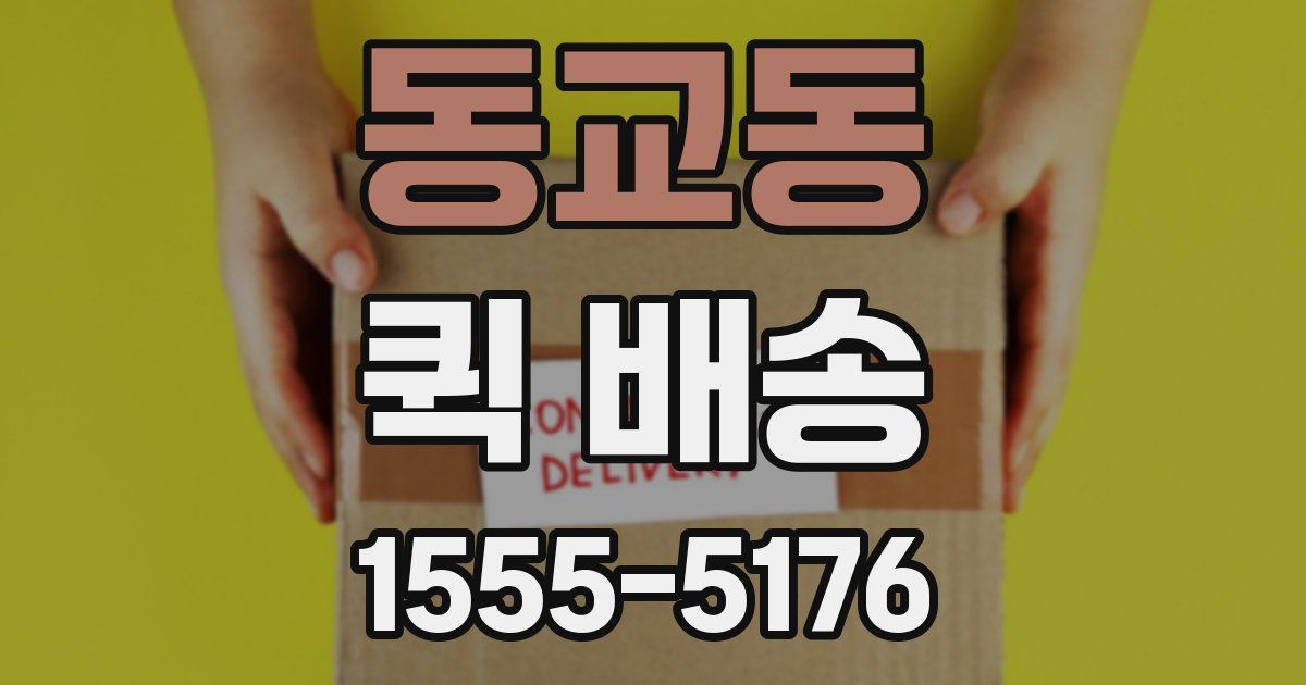 동교동 퀵 배송