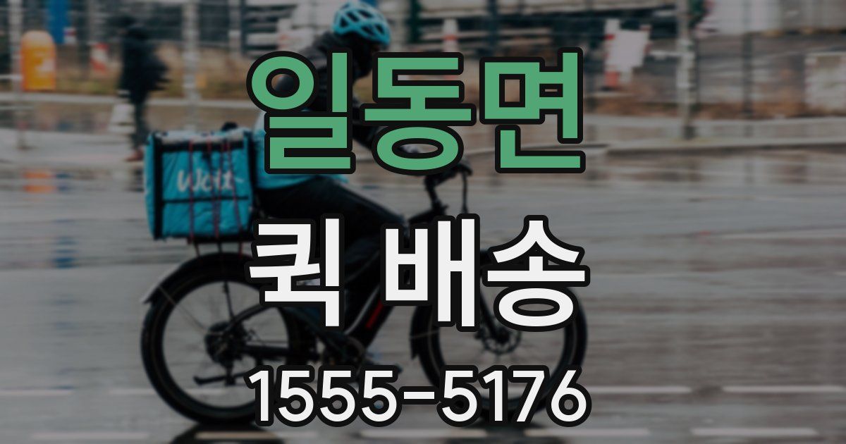 일동면 퀵 배송