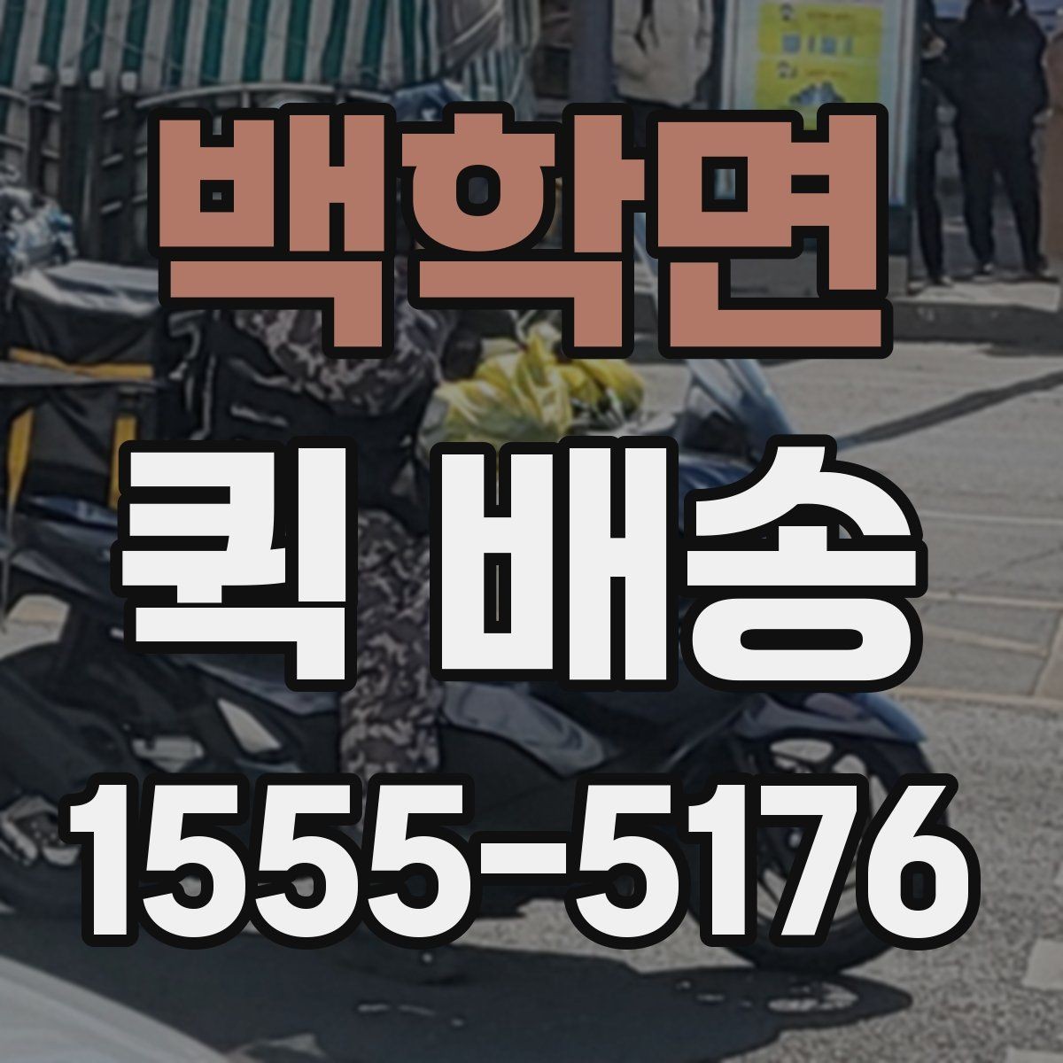 백학면 퀵 배송 업체별 서비스 범위 차이