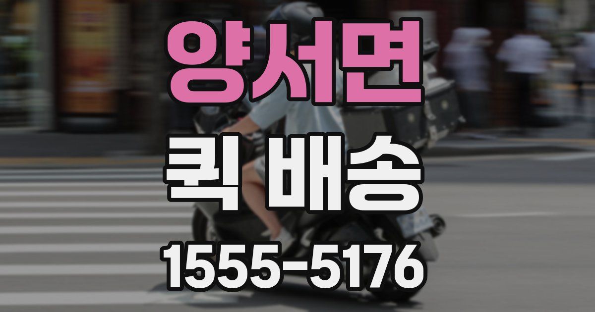양서면 퀵 배송