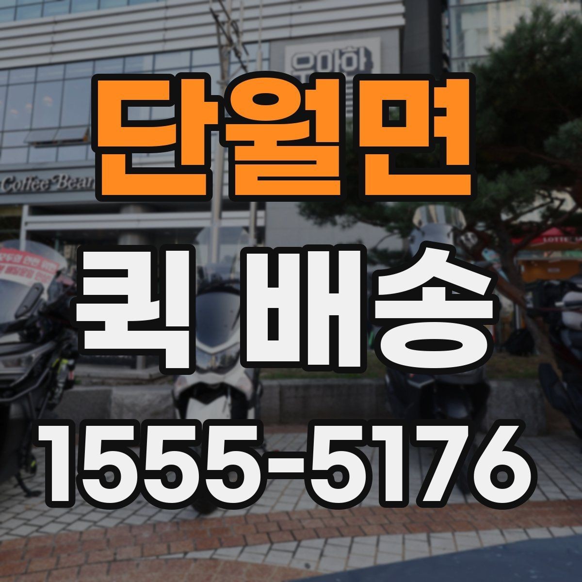 단월면 퀵 배송 사전 견적 받을 때 필요한 정보