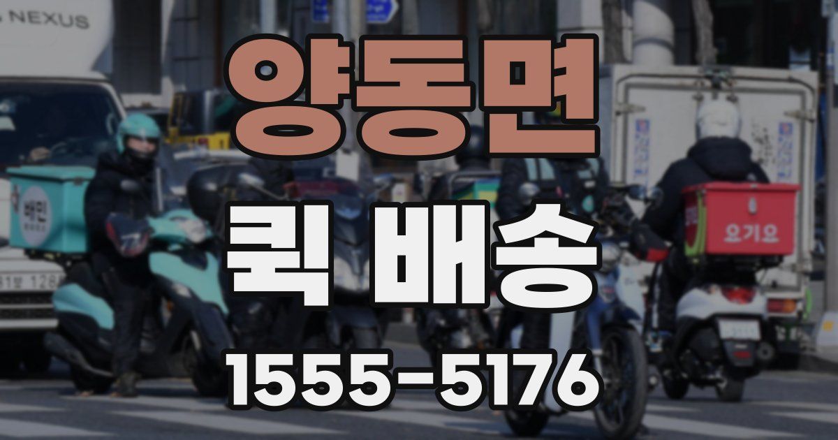 양동면 퀵 배송
