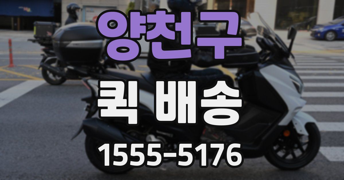 양천구 퀵 배송