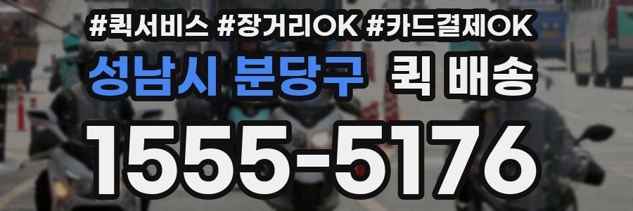 성남시 분당구 퀵 배송