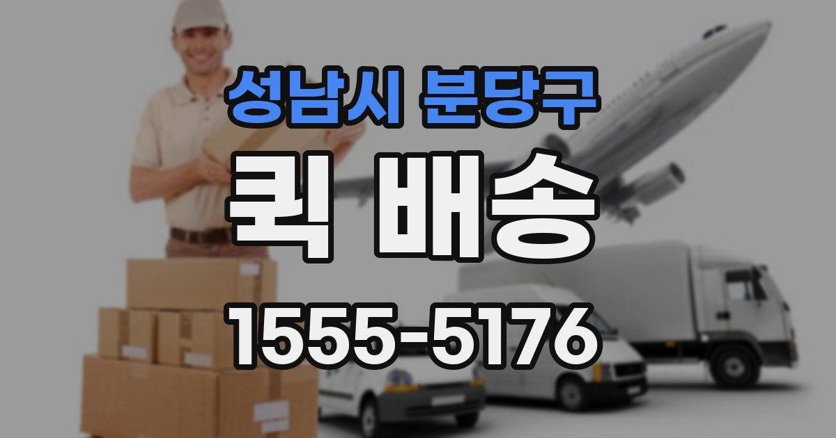 성남시 분당구 퀵 배송