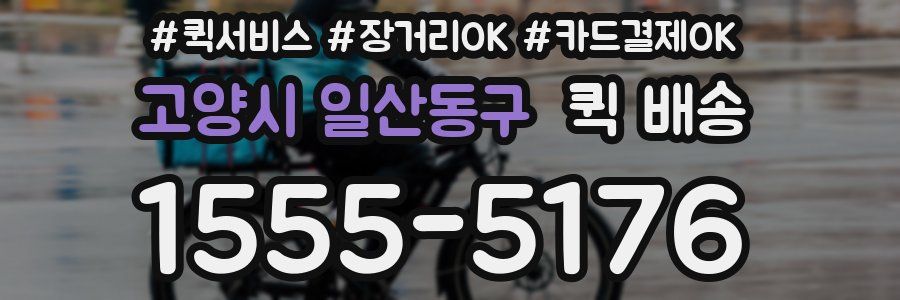고양시 일산동구 퀵 배송