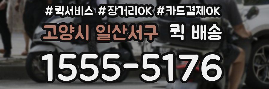 고양시 일산서구 퀵 배송