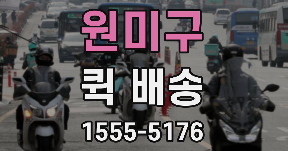 원미구 퀵 배송