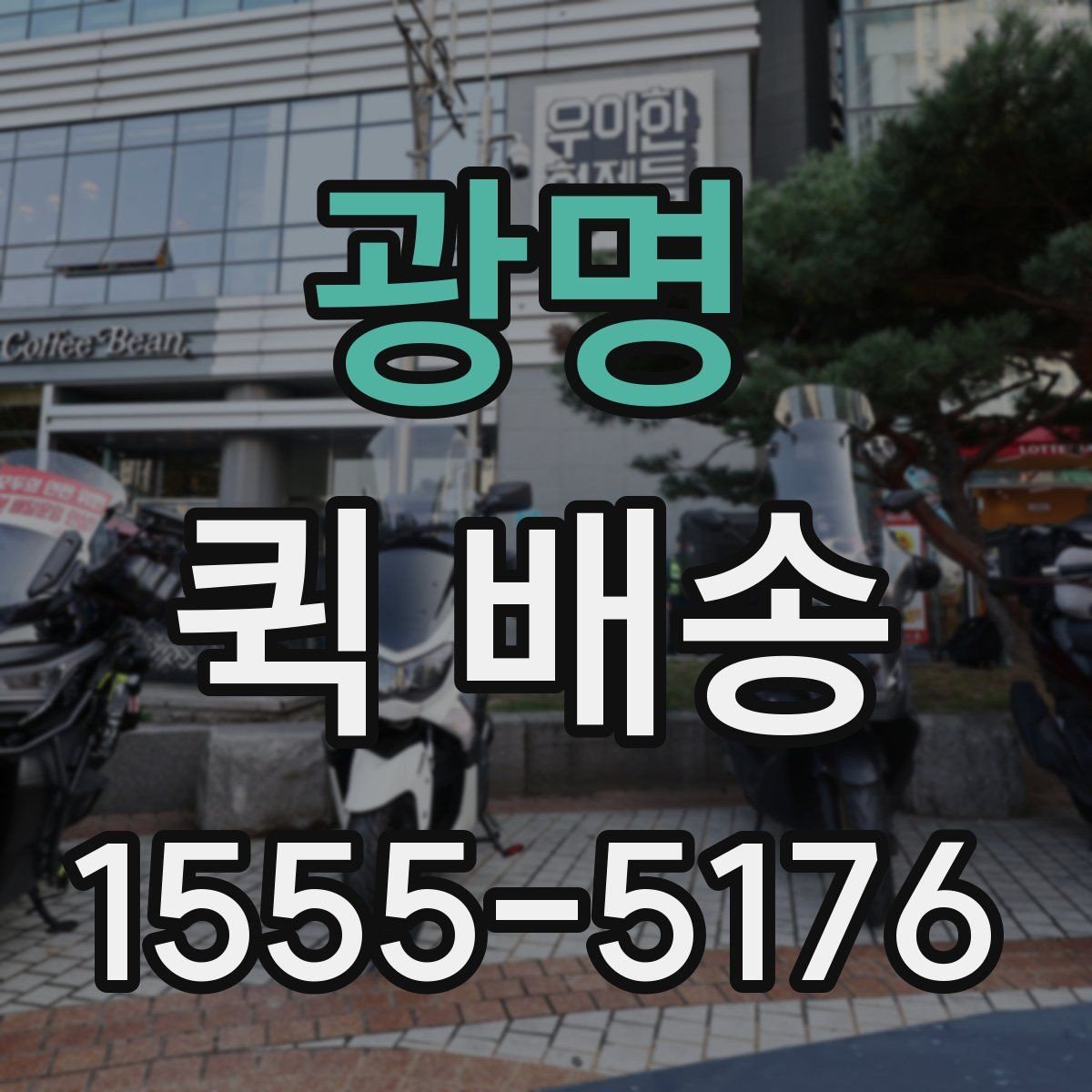 광명 퀵 배송 이용 빈도가 높은 업종 살펴보기