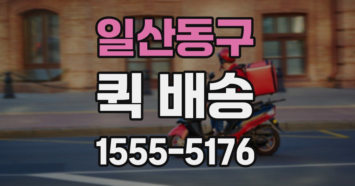 일산동구 퀵 배송