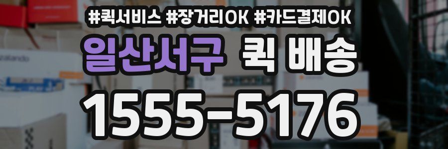 일산서구 퀵 배송