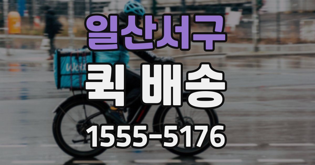 일산서구 퀵 배송