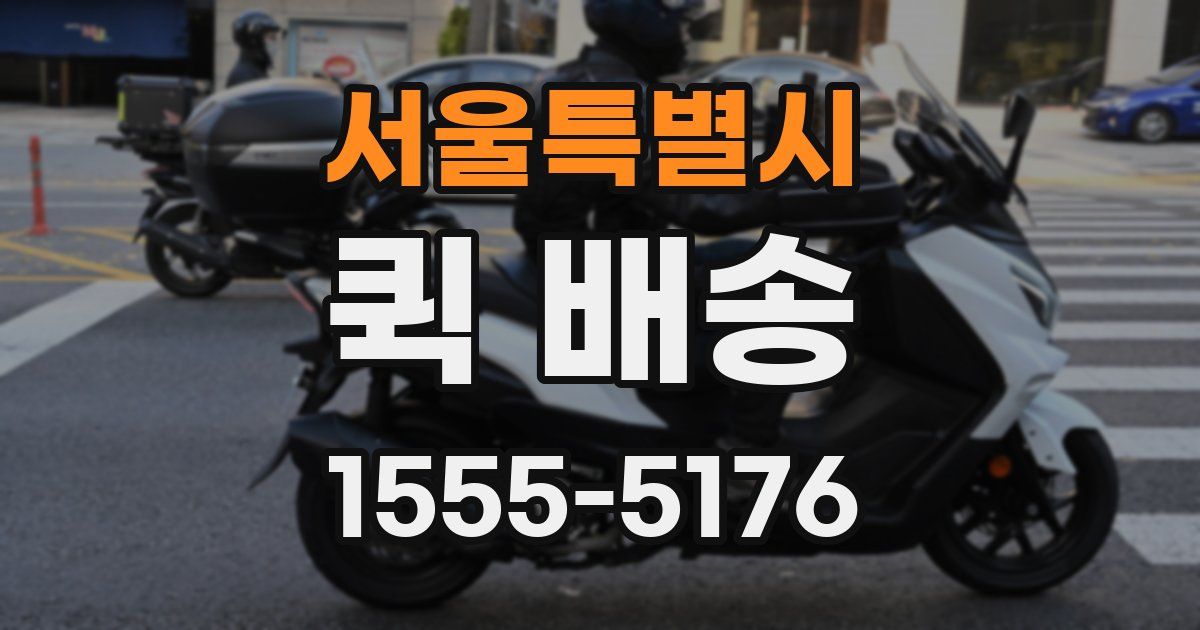 서울특별시 퀵 배송