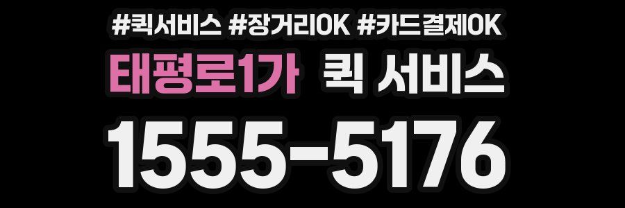 태평로1가 퀵 서비스