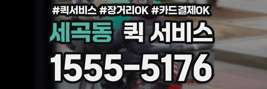 세곡동 퀵 서비스