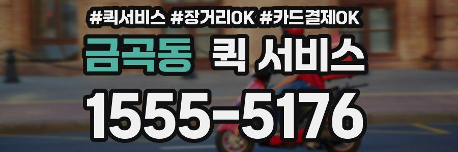 금곡동 퀵 서비스
