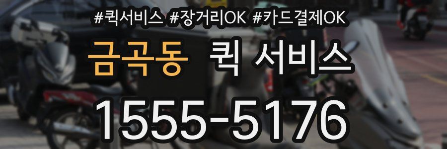 금곡동 퀵 서비스
