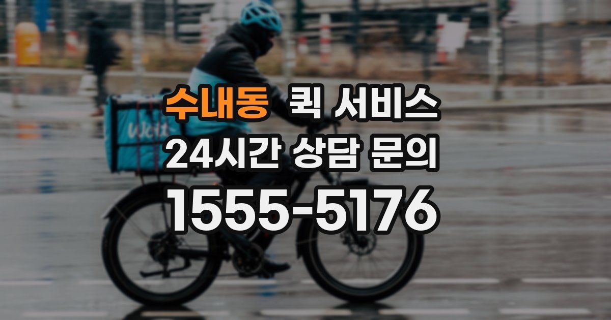 수내동 퀵 서비스