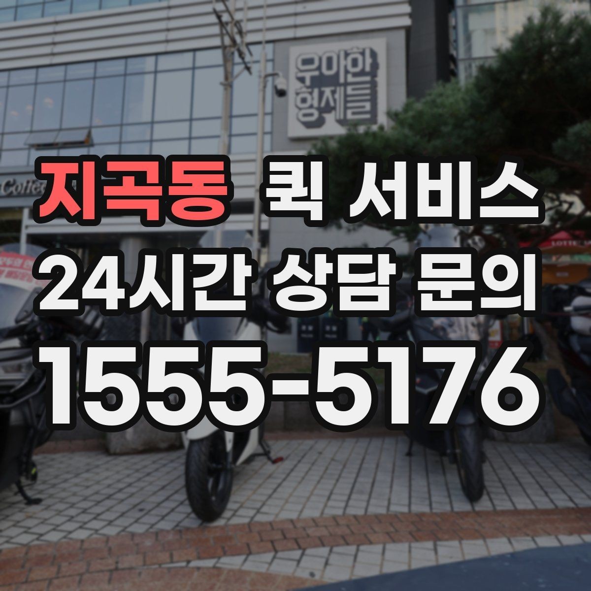 지곡동 퀵 서비스 서비스 범위 확인이 필요한 이유