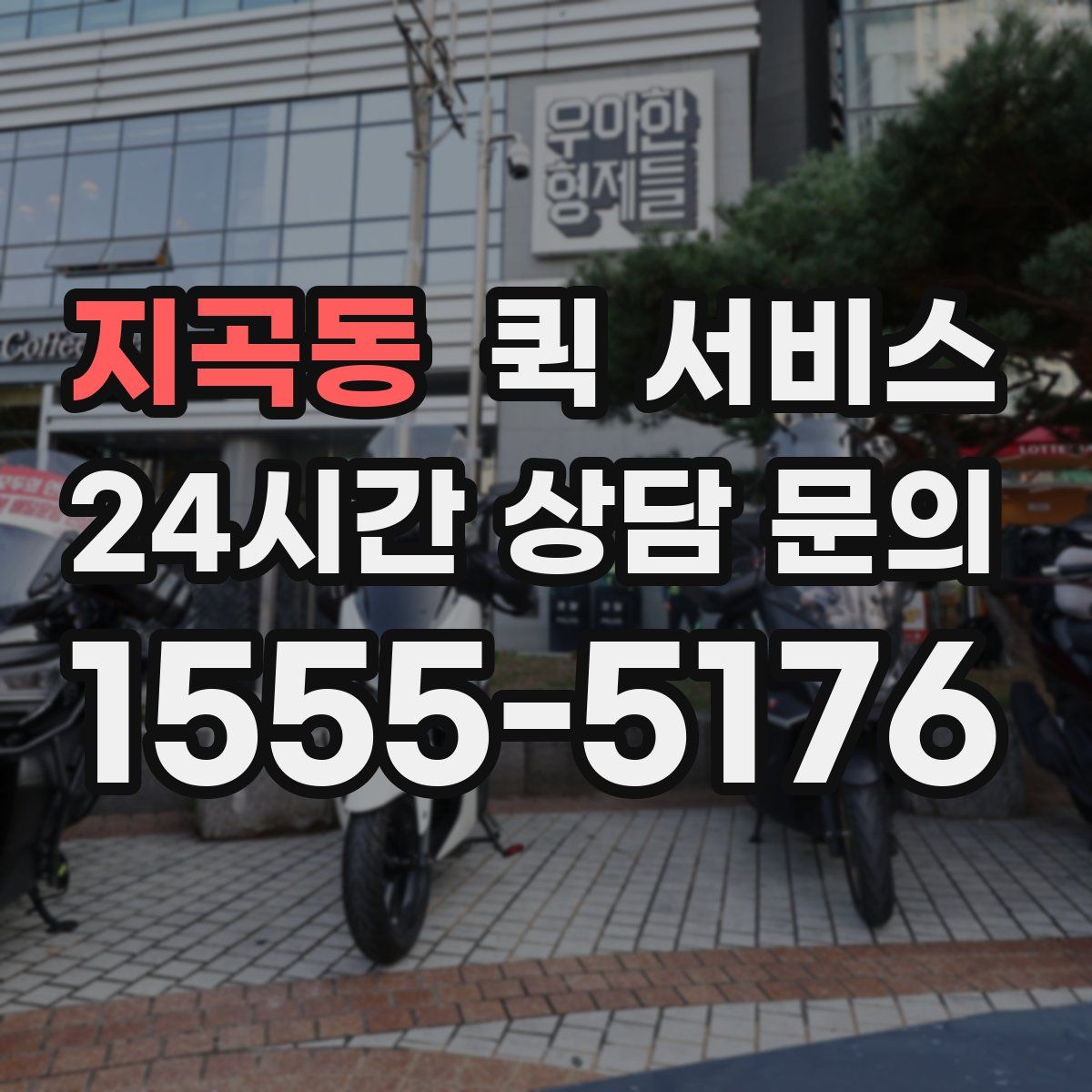 지곡동 퀵 서비스