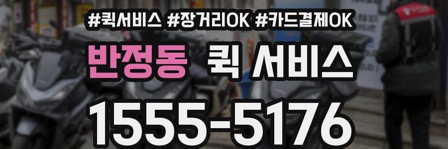 반정동 퀵 서비스