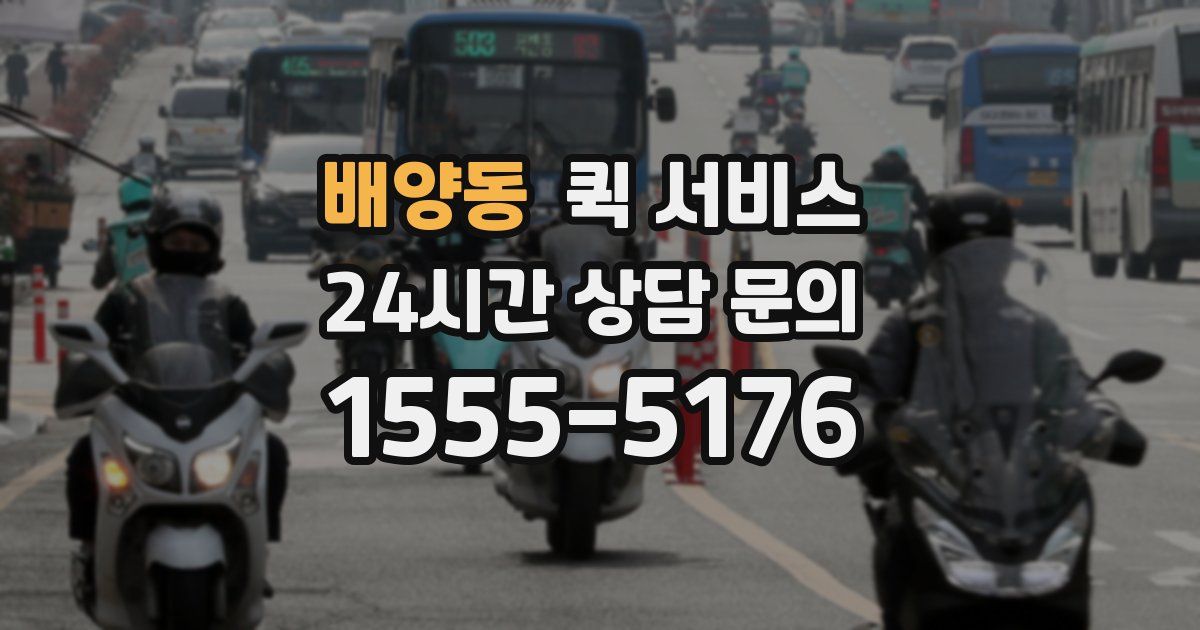 배양동 퀵 서비스