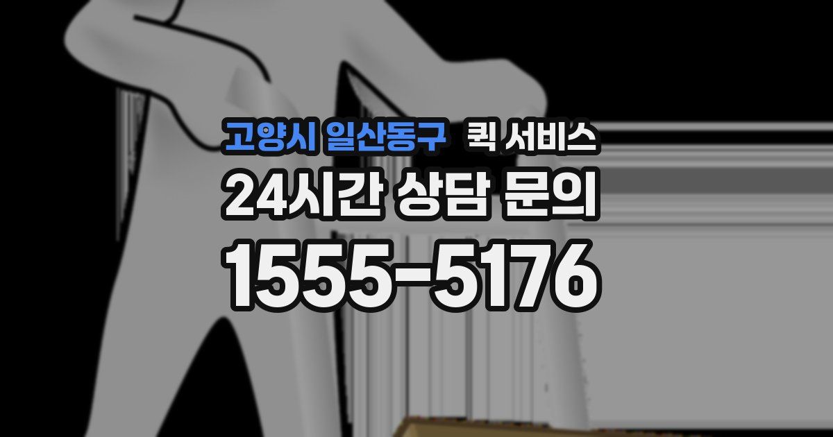고양시 일산동구 퀵 서비스