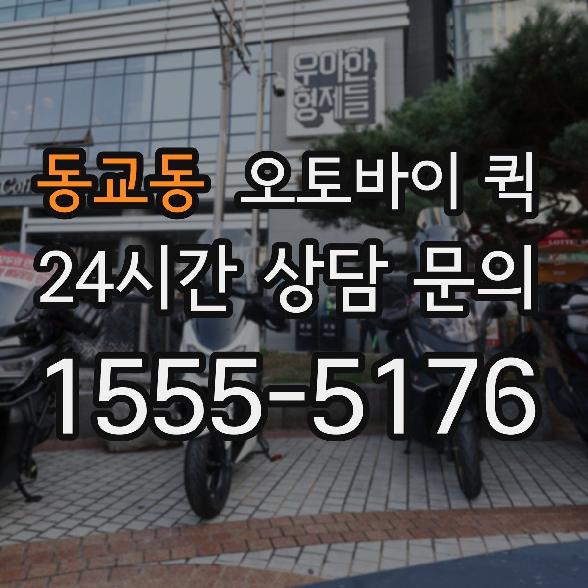 동교동 오토바이 퀵