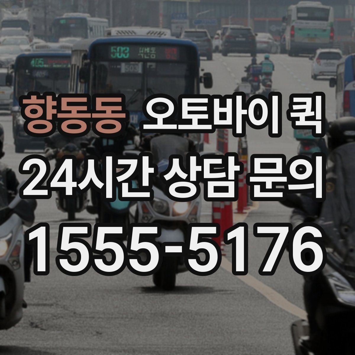 향동동 오토바이 퀵 부를 때 확인할 사항