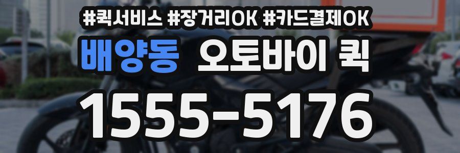 배양동 오토바이 퀵