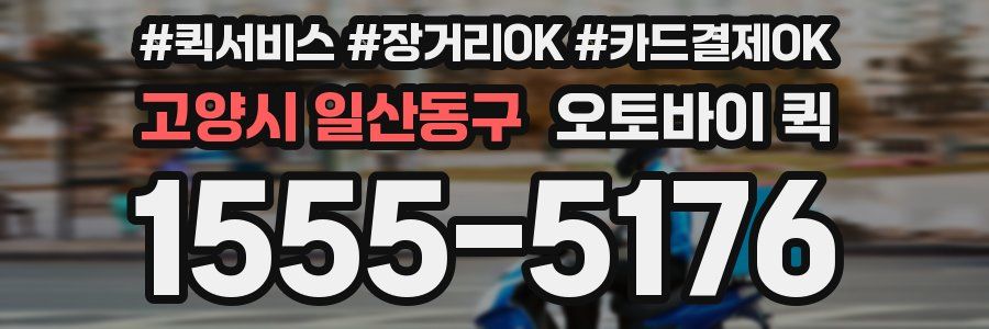 고양시 일산동구 오토바이 퀵