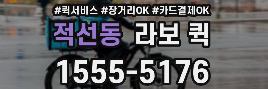 적선동 라보 퀵